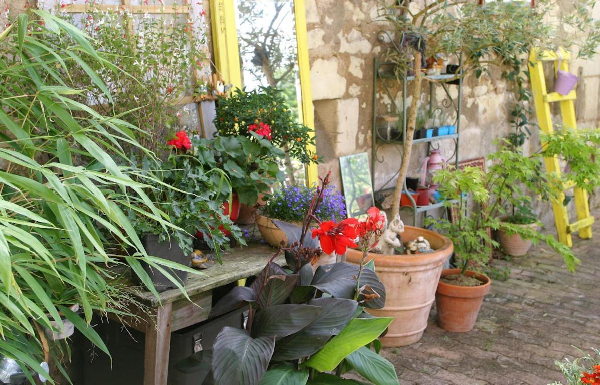 Bed and Breakfast Les Petites Mirabelles Noyers-sur-Cher Zewnętrze zdjęcie